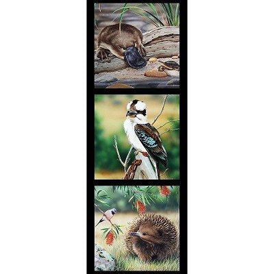 Wildlife Art Panel - Platypus, Kookaburra, Echidna