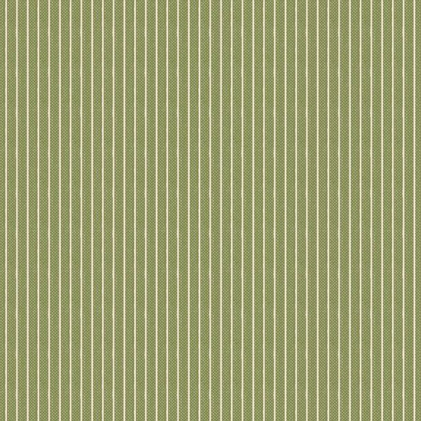 Creating Memories Winter Stripe Green