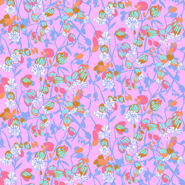 Jumpstart - Silene, Periwinkle