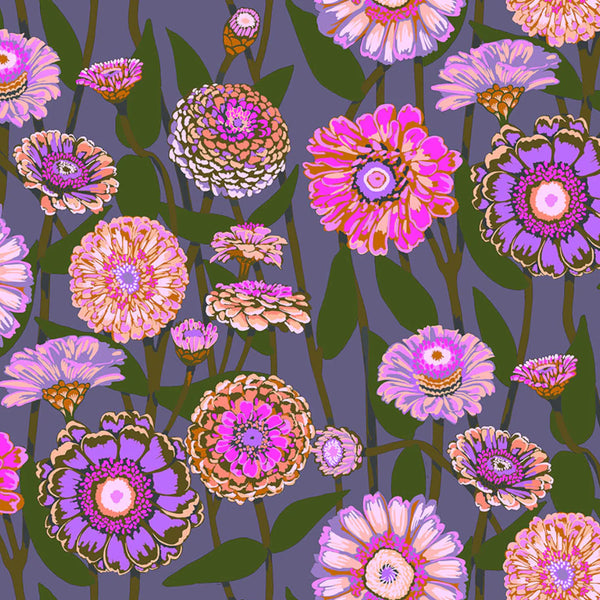 Jumpstart - Zinnia Show, Mauve