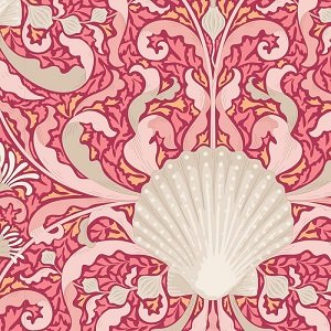 Cotton Beach Scallop Shell - Coral