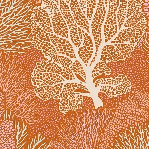 Cotton Beach Coral Reef - Ginger