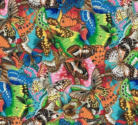 Treasure Island - Tropical Butterflies