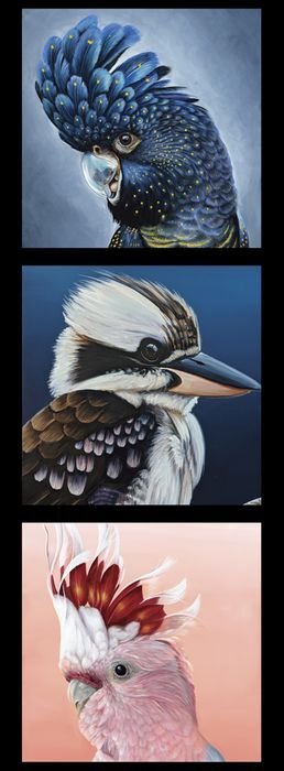 Wildlife Art Panel -  Cockatoos Kookaburra