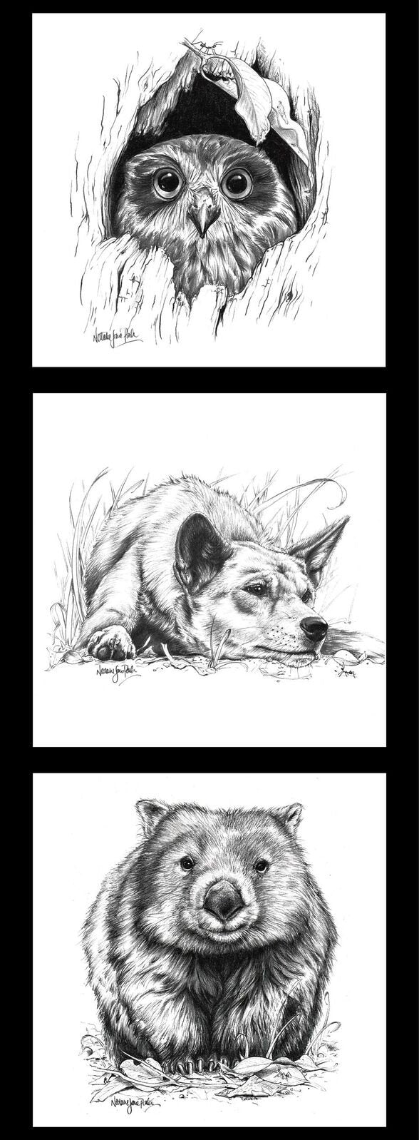 Wildlife Art Panel Black and White - Owl Dingo Wombat