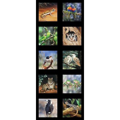 Wildlife Art Panel - Mixed Panel of 10